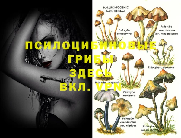 марки nbome Новый Уренгой