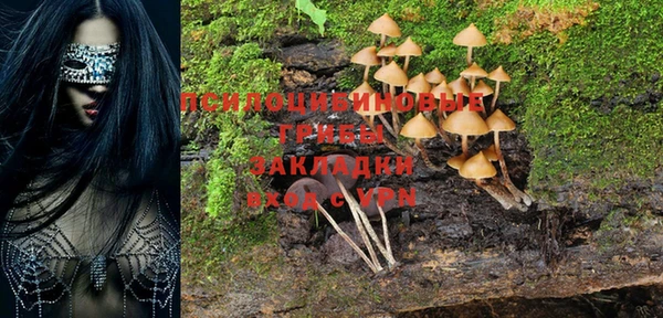 марки nbome Новый Уренгой