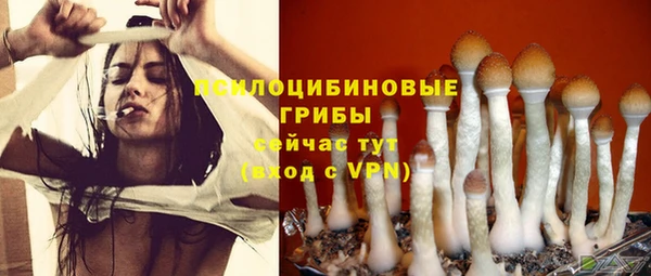 альфа пвп Ачинск