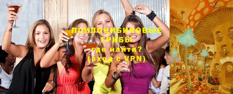 Галлюциногенные грибы мицелий  гидра сайт  Пермь 